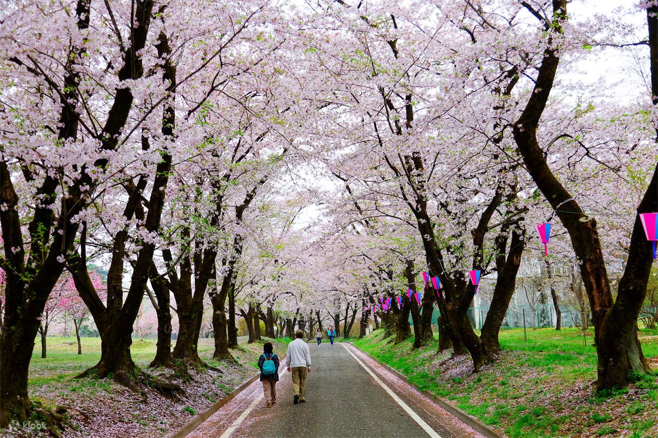 🏞️ 다카쓰도 협곡(타카츠도쿄)